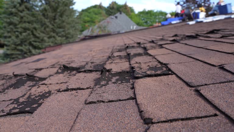 Best Roof Leak Repair  in Redkey, IN